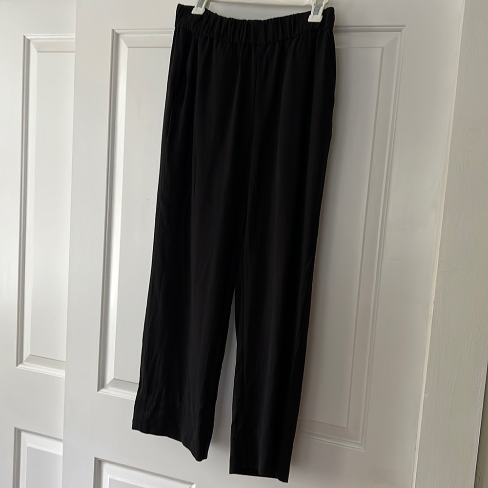 Everlane Easy Pant 10